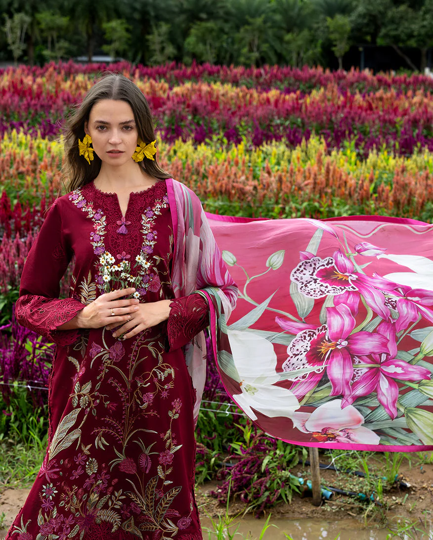 Aurora Petals - Image 3