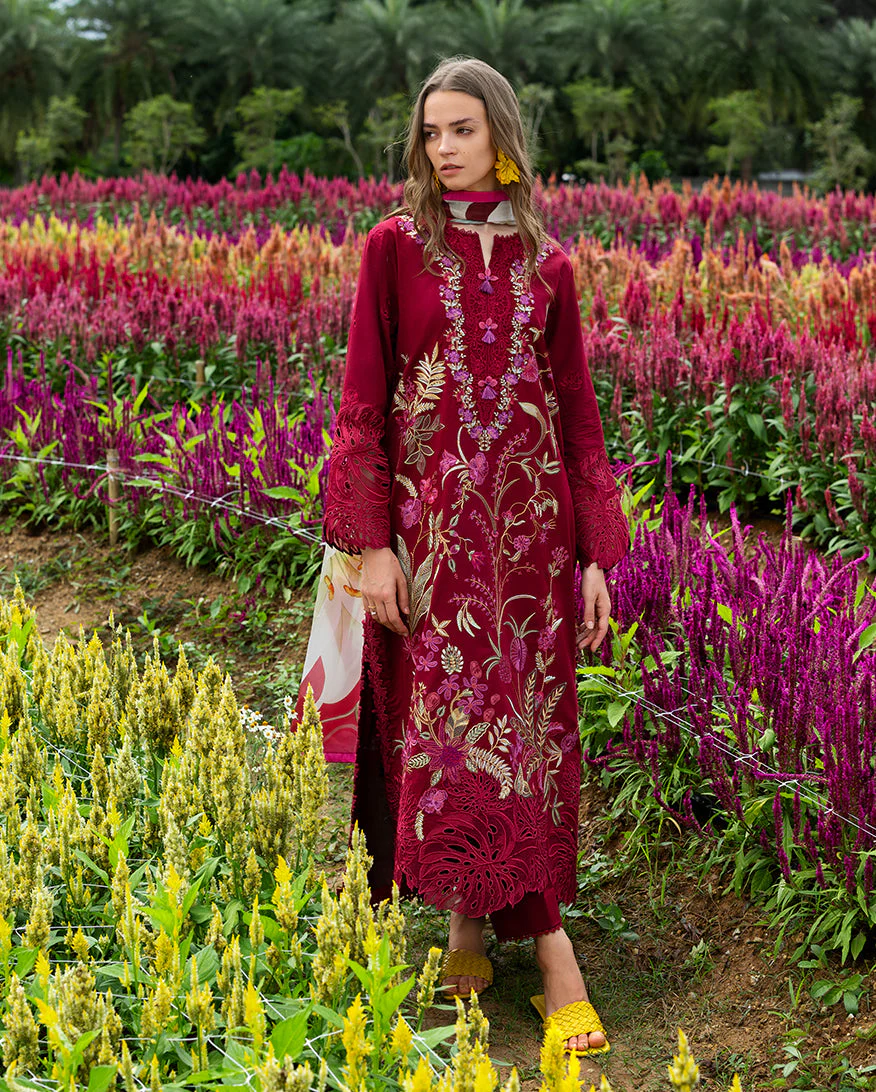 Aurora Petals - Image 6