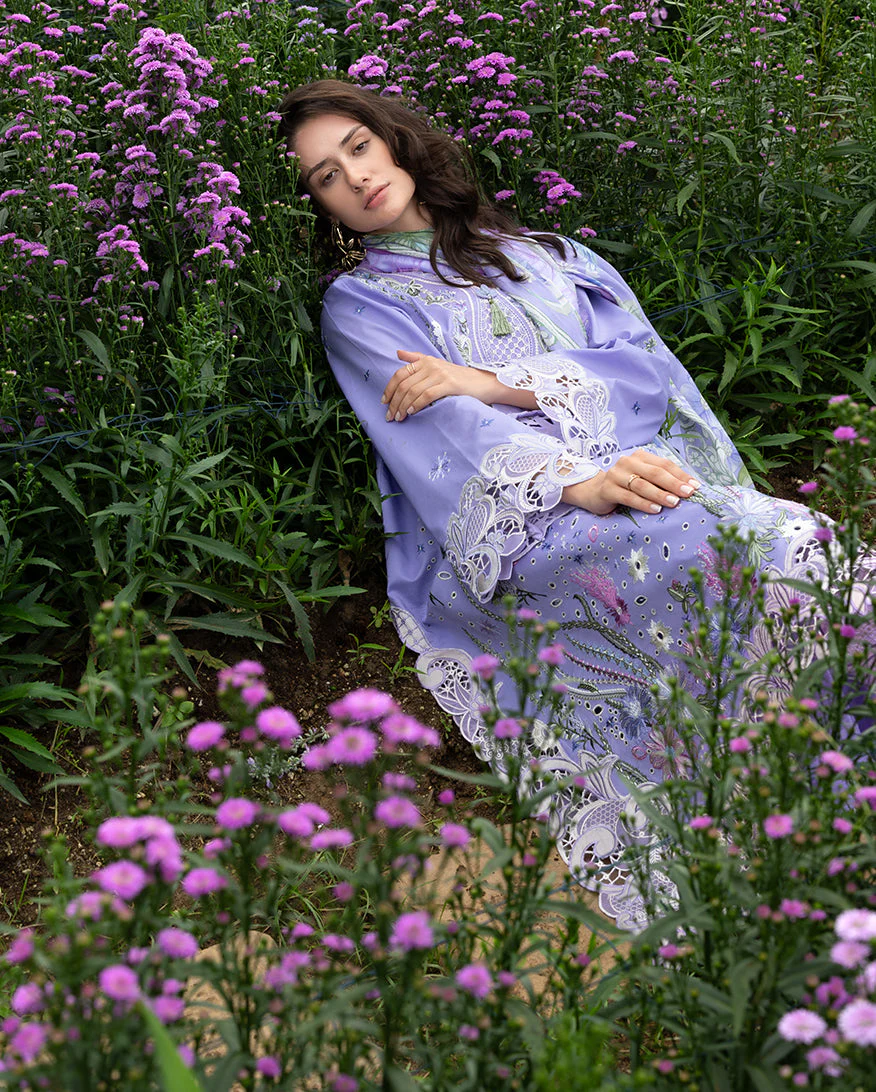 Daisy Reverie - Image 5