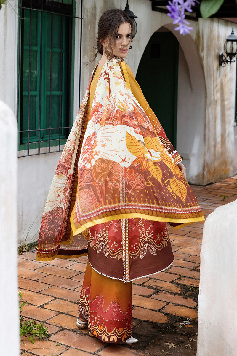 Desierto Sol - Image 5