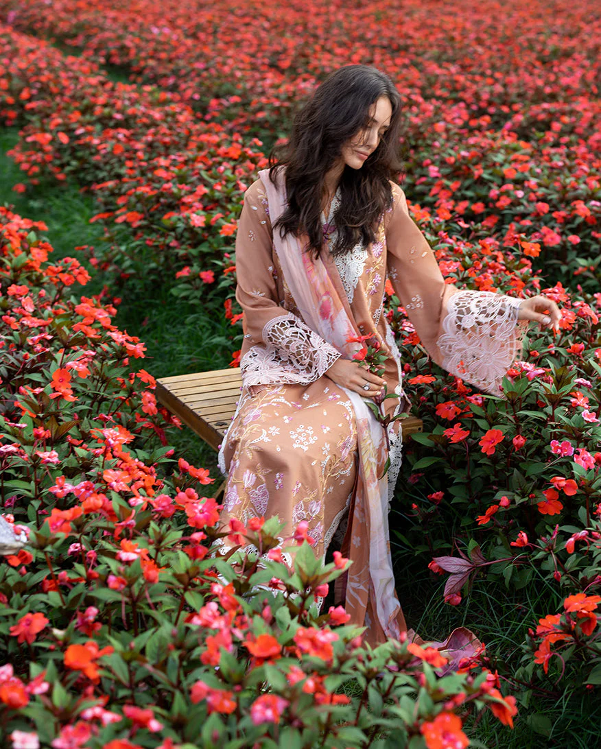 Rosette Reverie - Image 4